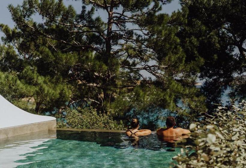 带2个卧室的别墅, Minos Beach Art Hotel, A Member Of Design Hotels