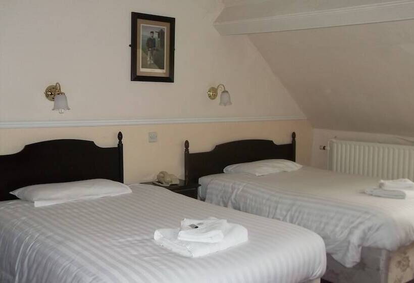 Номер Стандарт, Patten Arms