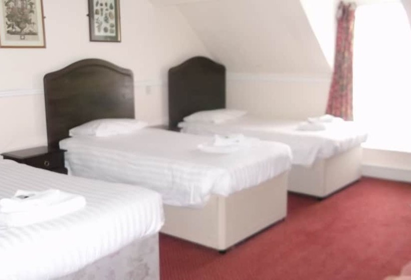 Номер Стандарт Трехместный, Patten Arms