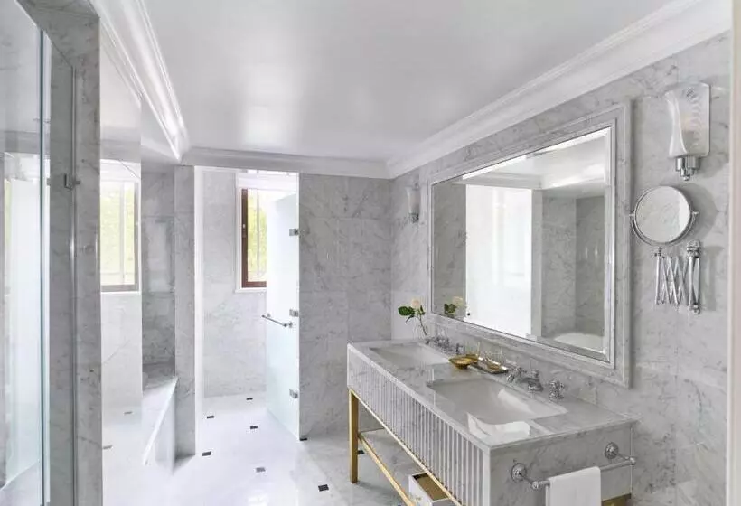 パークビューのデラックスルーム, The Dorchester   Dorchester Collection