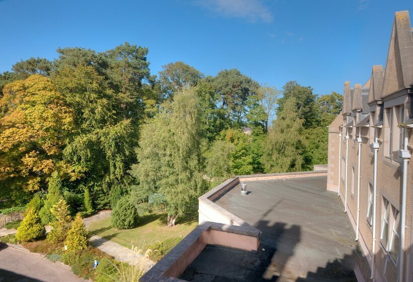 スタンダードルーム, Muthu Newton