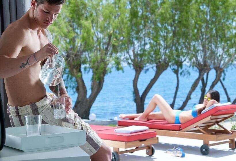 בקתה סטנדרטית, Dimitra Beach Hotel & Suites