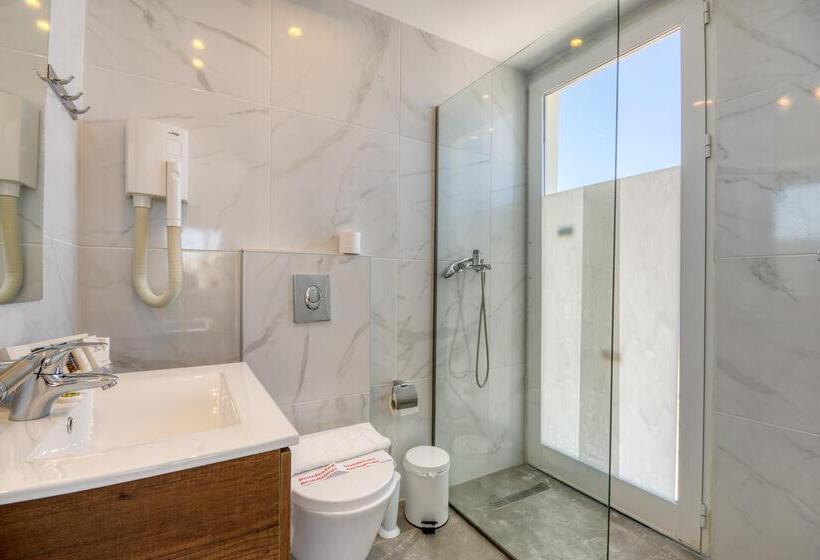 Номер Стандарт, Arte