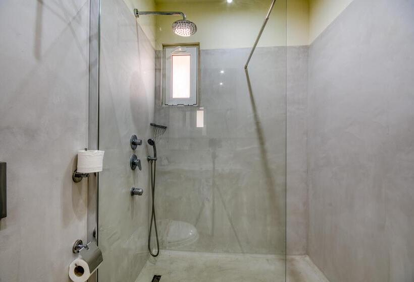 Номер Стандарт, Arte