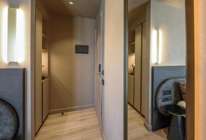 غرفة قياسية ذات إطلالة, Arcadion