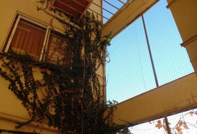 ファミリールーム, Cavo D  Oro