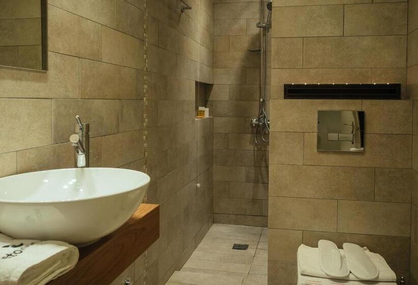 חדר סטנדרט עם מרפסת, Leto Nuevo