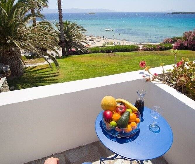 חדר סופריור, Paros Philoxenia