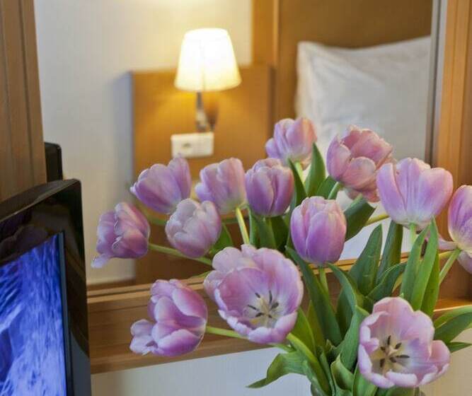 Chambre Economy, Plaka