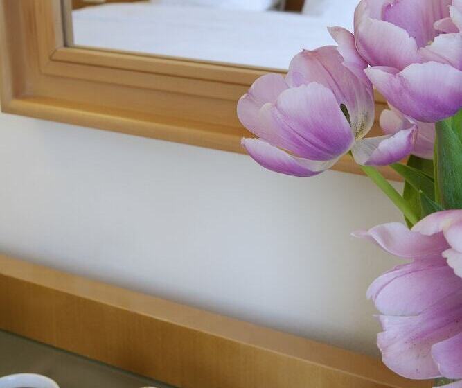 Chambre Economy, Plaka