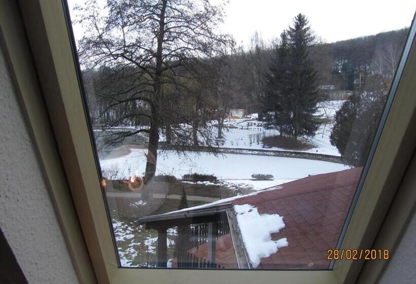 ファミリールーム, Síkfőkút