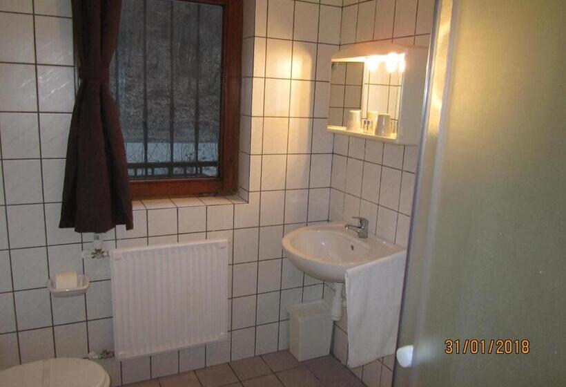 ベーシックルーム, Síkfőkút