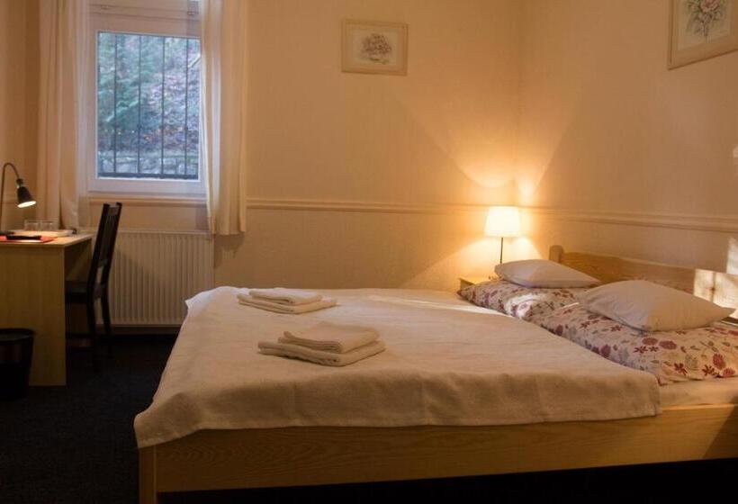 ベーシックルーム, Síkfőkút