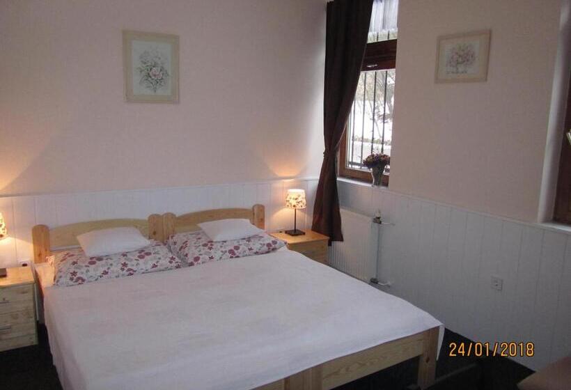 スタンダードルーム, Síkfőkút