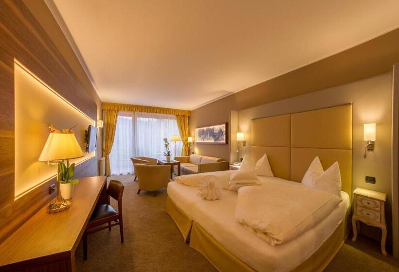 디럭스 룸, Dominik Alpine City Wellness Hotel   Adults Only