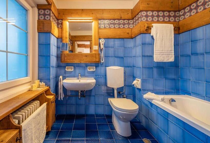 舒适型房间, Parc Hotel Victoria