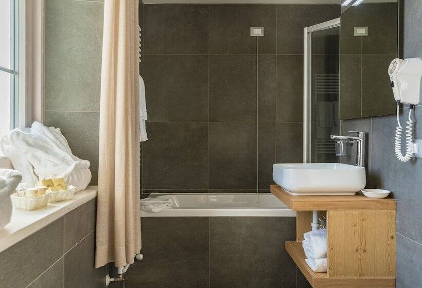 舒适型房间, Parc Hotel Victoria