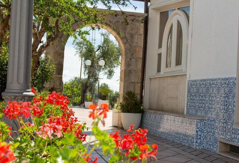 חדר קומפורט, Apeneste