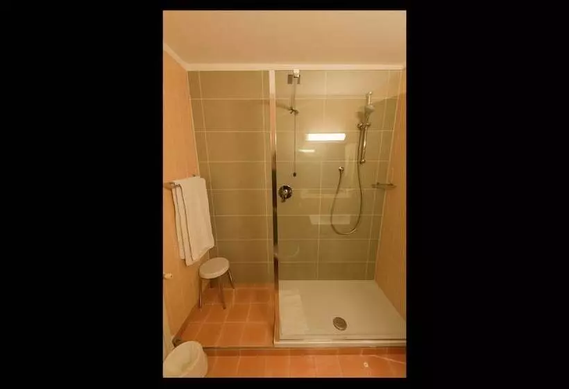 اتاق استاندارد یک نفره, Astor