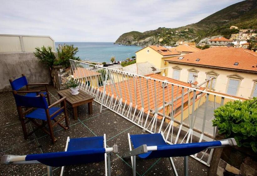 اتاق سوپریور, Garden