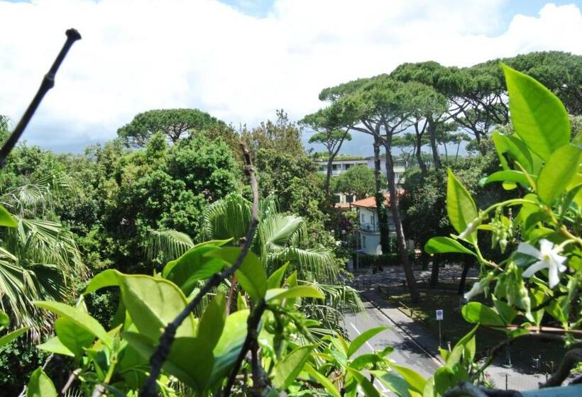 Quarto Estandar, Mignon