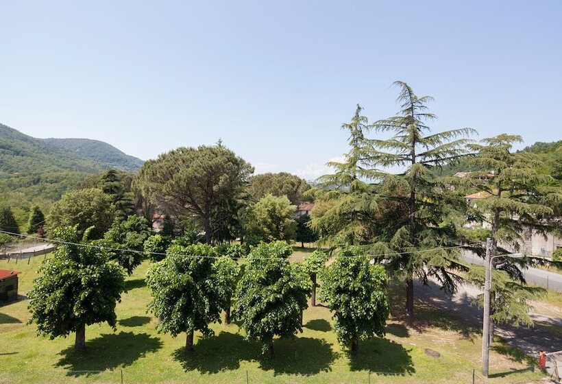 اتاق استاندارد یک نفره, Nella