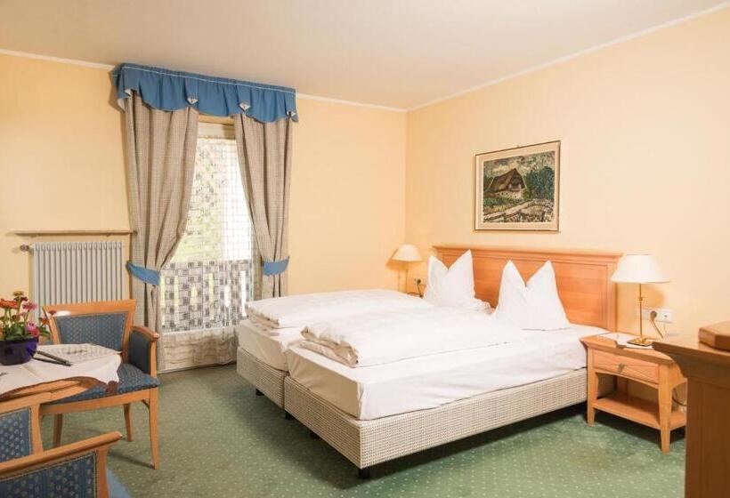 Номер Стандарт, Regina