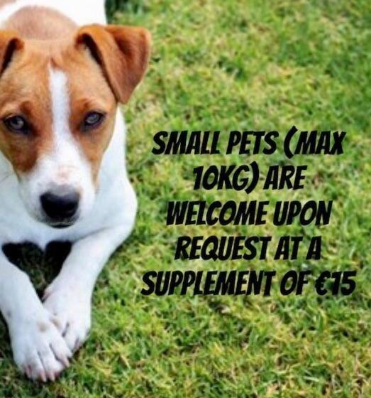 חדר סטנדרט, Albergo Belsoggiorno