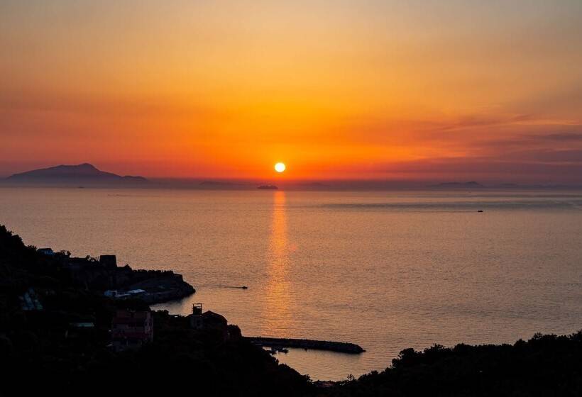 수피리어 룸 바다 전망, Best Western Hotel La Solara