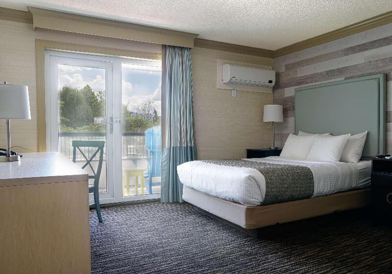 스탠다드 트리플 룸, Meeting