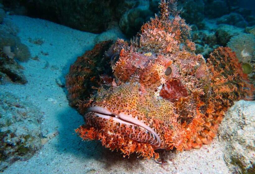 带2个卧室的公寓, Cormoran Hotel&Residence