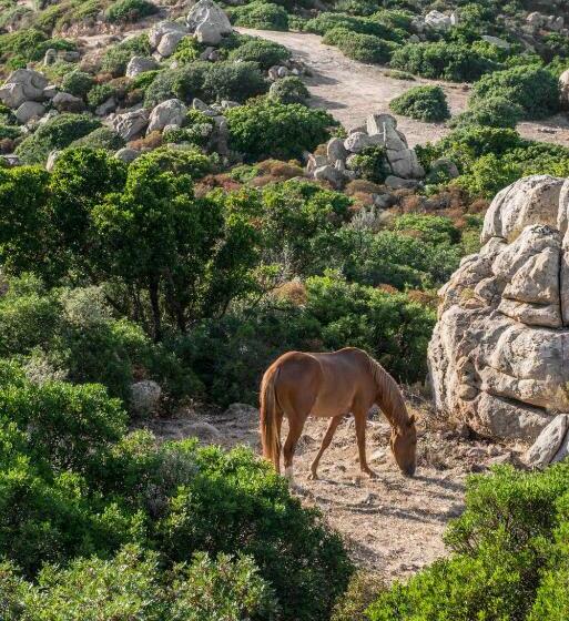 带2个卧室的公寓, Cormoran Hotel&Residence