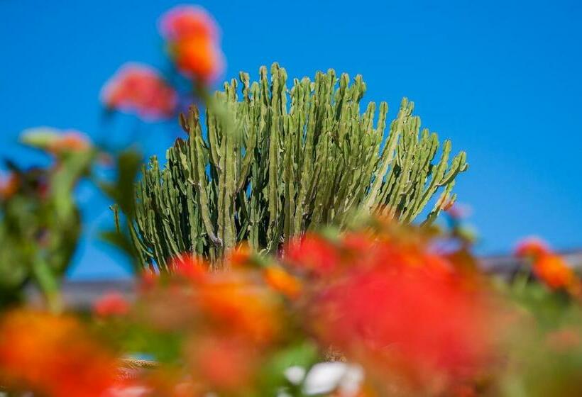 带2个卧室的公寓, Cormoran Hotel&Residence