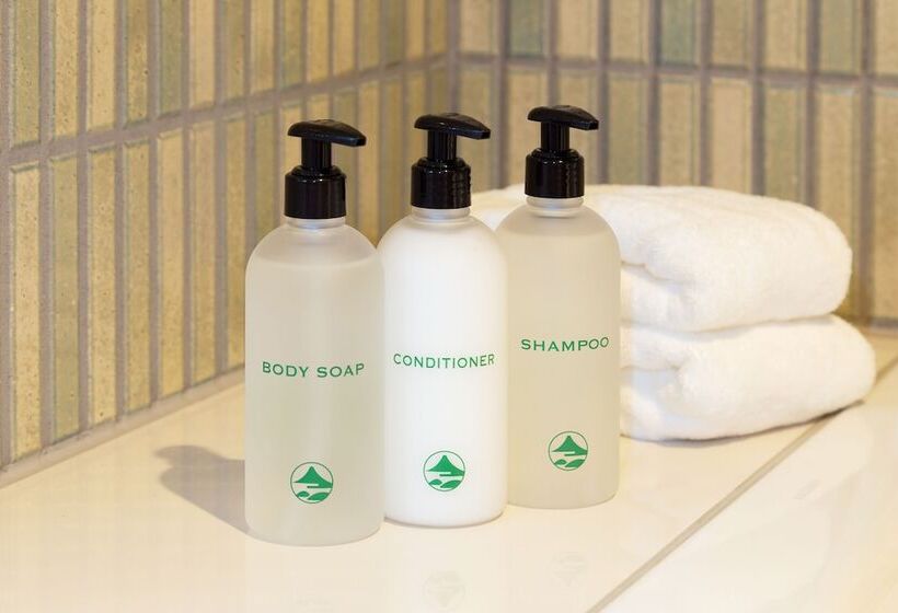 غرفة ديلوكس, Fujiya