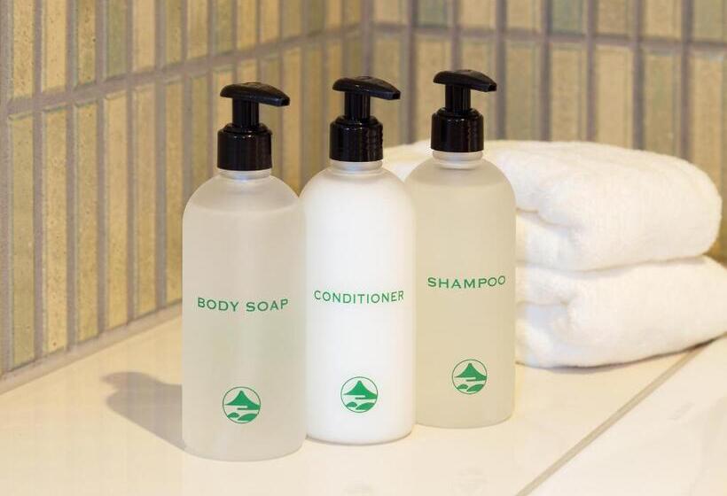 جناح بريميوم, Fujiya