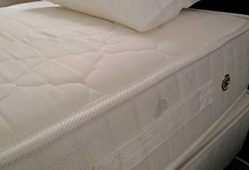 キングサイズベッドのスタンダードルーム, Grand Terrace Chitose