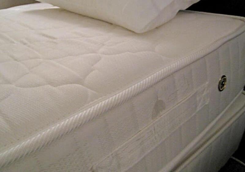 スタンダードルーム, Grand Terrace Chitose