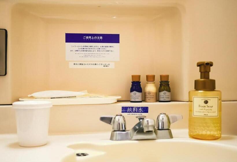 スタンダードルーム, Hachinohe Plaza