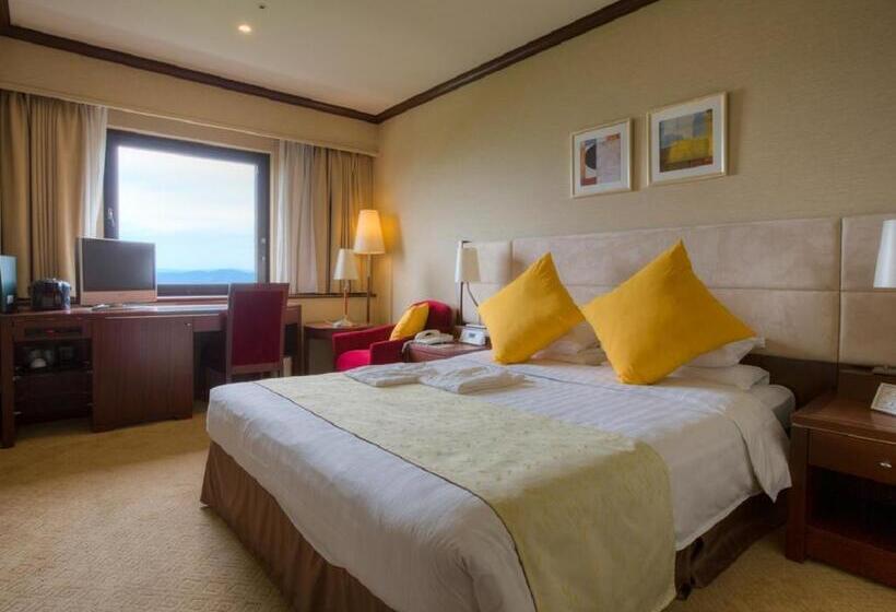 غرفة إقتصادية, Okayama International