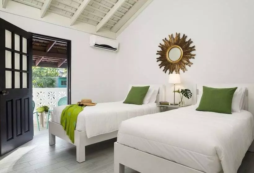 اتاق استاندارد, White Sands Negril