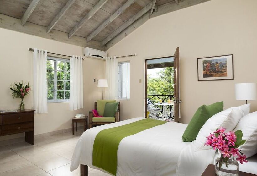اتاق استاندارد, White Sands Negril