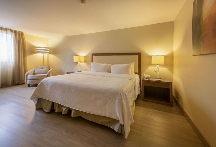 اتاق استاندارد, Antaris Valle