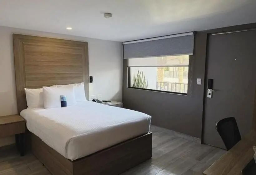 キングサイズベッドのスイートルーム, Comfort Inn Hermosillo Pitic