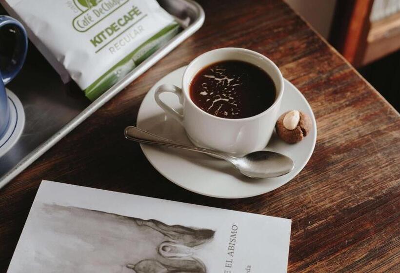 スタンダードルーム, Docecuartos