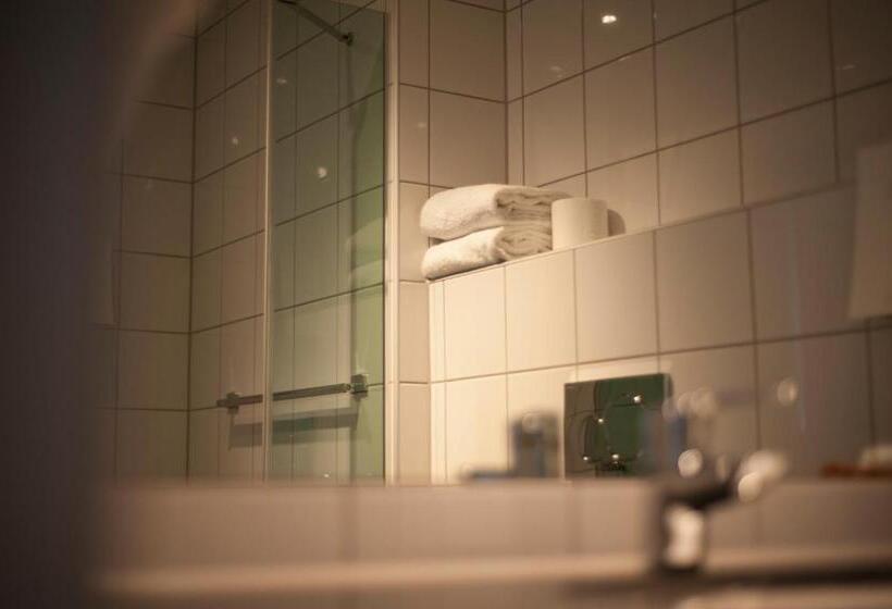 Номер Superior Одноместный, Dombås