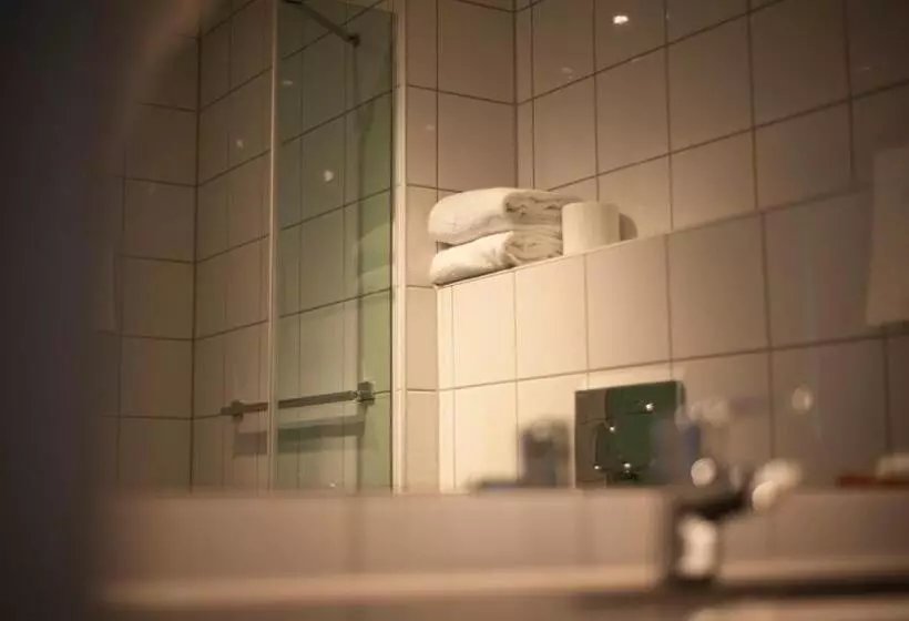 Tek Kişilik Lüks Oda, Dombås