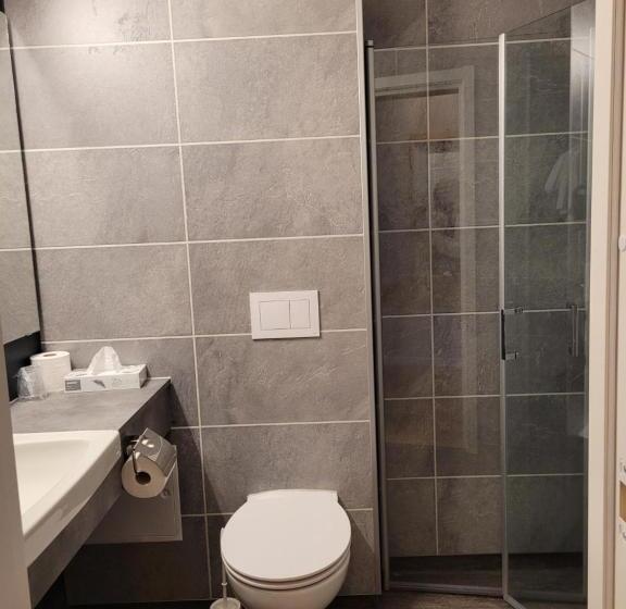 Номер Стандарт Трехместный, Dombås