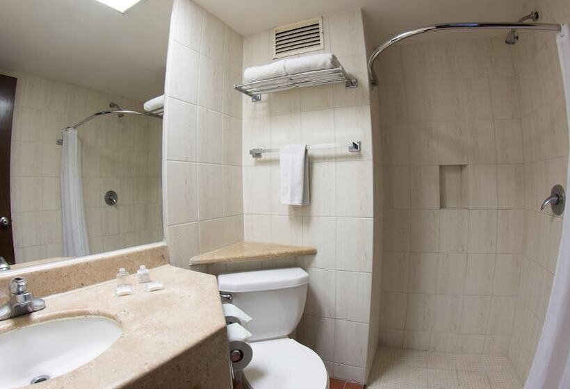 Chambre Standard, Fenix