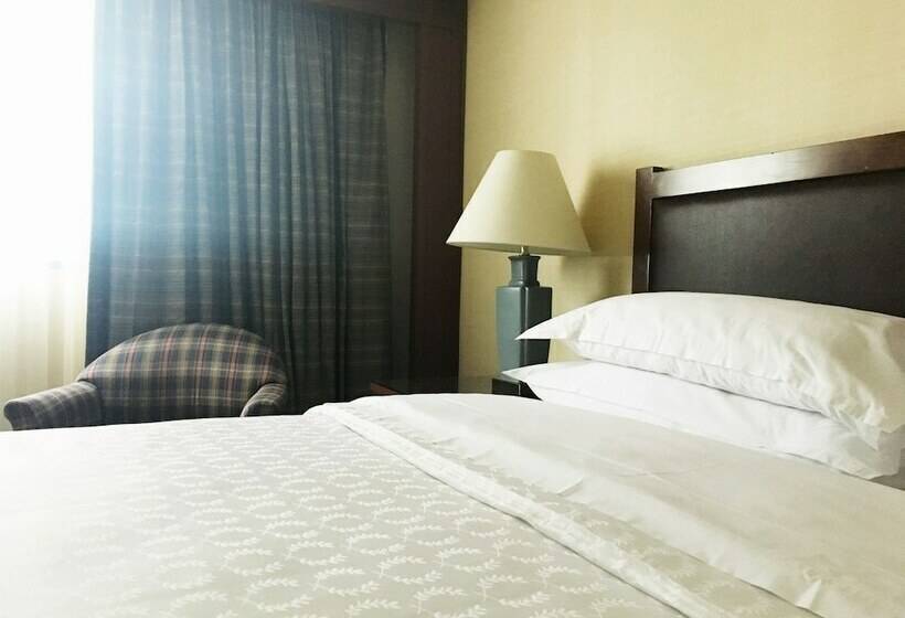 اتاق کلاسیک با تخت دونفره, Sheraton Mexico City Maria Isabel