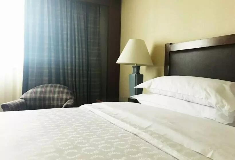 اتاق کلاسیک با تخت دونفره, Sheraton Mexico City Maria Isabel